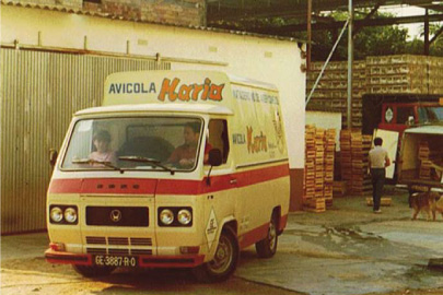 avicolamaria-camio-avicola